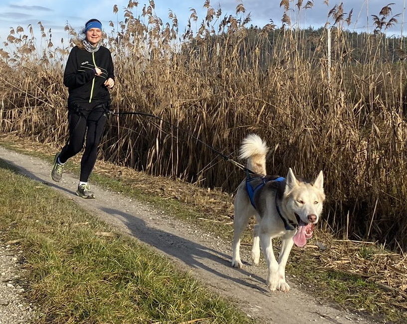 canicross Laufen mit Hund